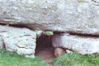 massive capstone near Din Lligwy