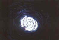 inside the stone chamber at Glynllifon, looking up