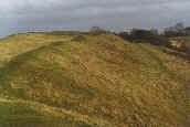 the ramparts at Burrough Hill hillfort
