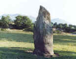 standing stone at Plasnewydd, Gwynedd